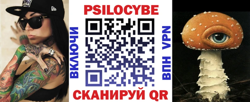 Купить где  Дно  Псилоцибиновые грибы Psilocybe 