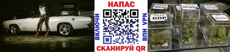 Бошки Шишки сатива  Купить  Дно 